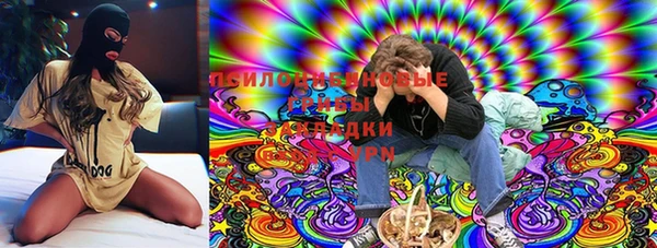героин Алексин
