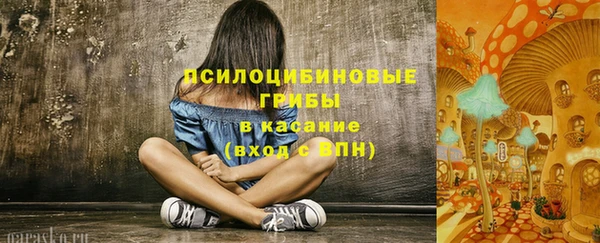 крисы Алзамай