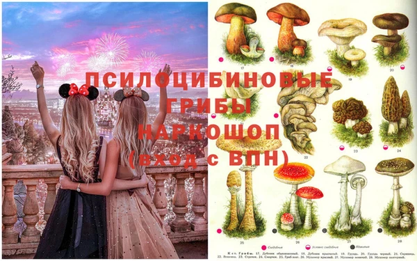 героин Алексин