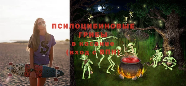 крисы Алзамай