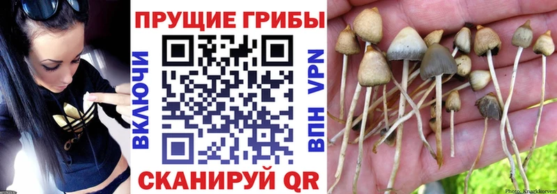 Псилоцибиновые грибы ЛСД  Первоуральск 